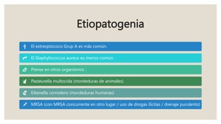 Etiopatogenia
El estresptococo Grup A es más común.
El Staphylococcus aureus es menos común.
Piense en otros organismos :
Pasteurella multocida (mordeduras de animales)
Eikenella corrodens (mordeduras humanas)
MRSA (con MRSA concurrente en otro lugar / uso de drogas ilícitas / drenaje purulento)
 