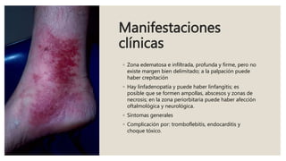 Manifestaciones
clínicas
◦ Zona edematosa e infiltrada, profunda y firme, pero no
existe margen bien delimitado; a la palpación puede
haber crepitación
◦ Hay linfadenopatía y puede haber linfangitis; es
posible que se formen ampollas, abscesos y zonas de
necrosis; en la zona periorbitaria puede haber afección
oftalmológica y neurológica.
◦ Síntomas generales
◦ Complicación por: tromboflebitis, endocarditis y
choque tóxico.
 