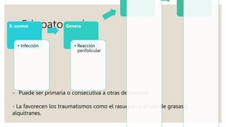 Etiopatogenia
- Puede ser primaria o consecutiva a otras dermatosis
- La favorecen los traumatismos como el rasurado o el uso de grasas o
alquitranes.
S. aureus
• Infección
Genera
• Reacción
perifolicular
 