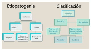Clasificación
Impétigo
Ampollar Costroso
Primario
Aparece sin
dermatosis
previas
Secundario
Aparece sobre
una dermatosis
preexistente
Etiopatogenia
Estafilococos
Toxina A
•Impétigo
La toxina
exfoliativa actúa
contra la DSG - 1
Toxina B
Enfermedad de
Ritter
 