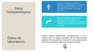 Datos
histopatológicos
Lesiones iniciales, se observan
foliculitis y perifoliculitis en la mitad
más profunda del folículo con el
infundíbulo dilatado y lleno de
queratina.
Lesiones activas, en dermis hay
infiltrado mixto perifolicular y
periglandular, formación de abscesos
y fístulas que se abren a la superficie
de la piel.
Datos de
laboratorio
Pueden aislarse estafilococos, estreptococos, E. coli y
Proteus spp. Se observa aumento de la sedimentación
globular y de la proteína C reactiva. En casos graves existe
anemia y puede haber datos de insuficiencia renal.
 