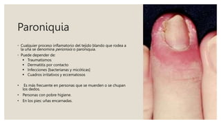 Paroniquia
◦ Cualquier proceso inflamatorio del tejido blando que rodea a
la uña se denomina perionixis o paroniquia.
◦ Puede depender de:
 Traumatismos
 Dermatitis por contacto
 Infecciones [bacterianas y micóticas]
 Cuadros irritativos y eccematosos
• Es más frecuente en personas que se muerden o se chupan
los dedos.
• Personas con pobre higiene.
• En los pies: uñas encarnadas.
 