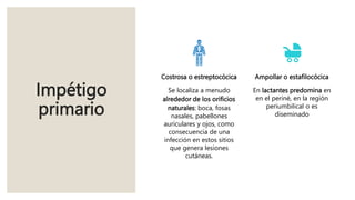 Impétigo
primario
Costrosa o estreptocócica
Se localiza a menudo
alrededor de los orificios
naturales: boca, fosas
nasales, pabellones
auriculares y ojos, como
consecuencia de una
infección en estos sitios
que genera lesiones
cutáneas.
Ampollar o estafilocócica
En lactantes predomina en
en el periné, en la región
periumbilical o es
diseminado
 