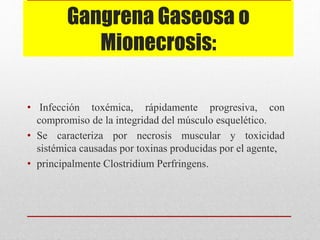 Gangrena Gaseosa o
Mionecrosis:
• Infección toxémica, rápidamente progresiva, con
compromiso de la integridad del músculo esquelético.
• Se caracteriza por necrosis muscular y toxicidad
sistémica causadas por toxinas producidas por el agente,
• principalmente Clostridium Perfringens.
 