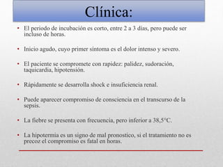 Clínica:
• El periodo de incubación es corto, entre 2 a 3 días, pero puede ser
incluso de horas.
• Inicio agudo, cuyo primer síntoma es el dolor intenso y severo.
• El paciente se compromete con rapidez: palidez, sudoración,
taquicardia, hipotensión.
• Rápidamente se desarrolla shock e insuficiencia renal.
• Puede aparecer compromiso de consciencia en el transcurso de la
sepsis.
• La fiebre se presenta con frecuencia, pero inferior a 38,5°C.
• La hipotermia es un signo de mal pronostico, si el tratamiento no es
precoz el compromiso es fatal en horas.
 