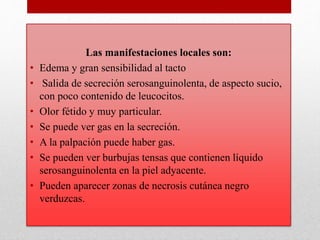 Las manifestaciones locales son:
• Edema y gran sensibilidad al tacto
• Salida de secreción serosanguinolenta, de aspecto sucio,
con poco contenido de leucocitos.
• Olor fétido y muy particular.
• Se puede ver gas en la secreción.
• A la palpación puede haber gas.
• Se pueden ver burbujas tensas que contienen líquido
serosanguinolenta en la piel adyacente.
• Pueden aparecer zonas de necrosis cutánea negro
verduzcas.
 