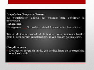 Diagnóstico Gangrena Gaseosa:
La visualización directa del músculo para confirmar la
mionecrosis.
Laboratorio:
Hemograma Se produce caída del hematocrito, leucocitosis.
Tinción de Gram: exudado de la herida revela numerosos bacilos
gram (+) con formas características, se ven escasos polinucleares.
Complicaciones:
• Destrucción severa de tejido, con pérdida hasta de la extremidad
o incluso la vida.
 