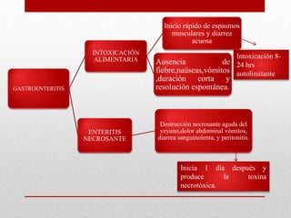 GASTROENTERITIS
INTOXICACIÓN
ALIMENTARIA
Inicio rápido de espasmos
musculares y diarrea
acuosa
Ausencia de
fiebre,naúseas,vómitos
,duración corta y
resolución espontánea.
ENTERITIS
NECROSANTE
Destrucción necrosante aguda del
yeyuno,dolor abdominal vómitos,
diarrea sanguinolenta, y peritonitis.
Intoxicación 8-
24 hrs
autolimitante
Inicia 1 día después y
produce la toxina
necrotóxica.
 