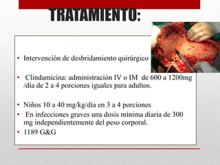 TRATAMIENTO:
• Intervención de desbridamiento quirúrgico
• Clindamicina: administración IV o IM de 600 a 1200mg
/día de 2 a 4 porciones iguales para adultos.
• Niños 10 a 40 mg/kg/día en 3 a 4 porciones
• En infecciones graves una dosis mínima diaria de 300
mg independientemente del peso corporal.
• 1189 G&G
 