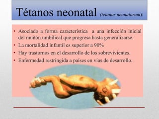 Tétanos neonatal (tetanus neunatorum):
• Asociado a forma característica a una infección inicial
del muñón umbilical que progresa hasta generalizarse.
• La mortalidad infantil es superior a 90%
• Hay trastornos en el desarrollo de los sobrevivientes.
• Enfermedad restringida a países en vías de desarrollo.
 