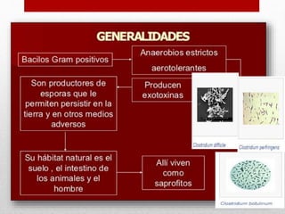 generalidades:
 