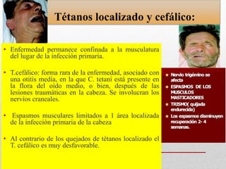 Tétanos localizado y cefálico:
• Enfermedad permanece confinada a la musculatura
del lugar de la infección primaria.
• T.cefálico: forma rara de la enfermedad, asociado con
una otitis media, en la que C. tetani está presente en
la flora del oído medio, o bien, después de las
lesiones traumáticas en la cabeza. Se involucran los
nervios craneales.
• Espasmos musculares limitados a 1 área localizada
de la infección primaria de la cabeza
• Al contrario de los quejados de tétanos localizado el
T. cefálico es muy desfavorable.
 