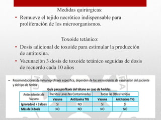 Medidas quirúrgicas:
• Remueve el tejido necrótico indispensable para
proliferación de los microorganismos.
Toxoide tetánico:
• Dosis adicional de toxoide para estimular la producción
de antitoxina.
• Vacunación 3 dosis de toxoide tetánico seguidas de dosis
de recuerdo cada 10 años
 