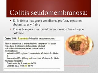 Colitis seudomembranosa:
• Es la forma más grave con diarrea profusa, espasmos
abdominales y fiebre
• Placas blanquecinas (seudomembranas)sobre el tejido
colónico.
 