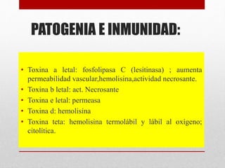 PATOGENIA E INMUNIDAD:
• Toxina a letal: fosfolipasa C (lesitinasa) ; aumenta
permeabilidad vascular,hemolisina,actividad necrosante.
• Toxina b letal: act. Necrosante
• Toxina e letal: permeasa
• Toxina d: hemolisina
• Toxina teta: hemolisina termolábil y lábil al oxígeno;
citolítica.
 