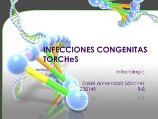 INFECCIONES CONGENITAS
TORCHeS
                     Infectología

        Zaidé Armendáriz Sánchez
       238149                8-8
 