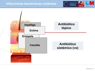 | Página 11
Infecciones bacterianas cutáneas
Impétigo
Ectima
Erisipela
Celulitis
Antibiótico
tópico
Antibiótico
sistémico ...