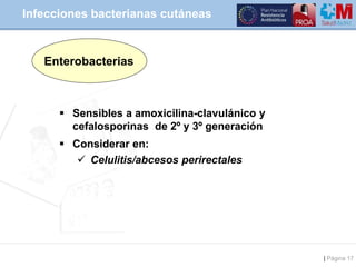 | Página 17
Infecciones bacterianas cutáneas
Enterobacterias
 Sensibles a amoxicilina-clavulánico y
cefalosporinas de 2º ...