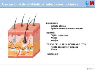 | Página 2
Uso racional de antibióticos: infecciones cutáneas
MUSCULO
TEJIDO CELULAR SUBCUTÁNEO (TCS)
Tejido conectivo y a...