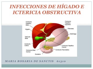 INFECCIONES DE HÍGADO E
   ICTERICIA OBSTRUCTIVA




MARIA ROSARIA DE SANCTIS   61310
 