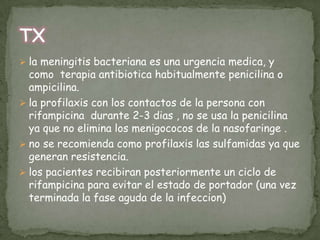 <ul><li>Los antibióticos de elección son las penicilinas estables a la betalactamasa. la resistencia a la meticilina es un...