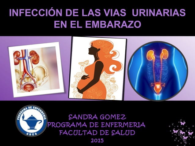Infeccion Urinaria En El Embarazo Ppt es.slideshare.net