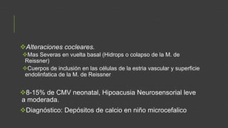 Alteraciones cocleares.
Mas Severas en vuelta basal (Hidrops o colapso de la M. de
Reissner)
Cuerpos de inclusión en las células de la estria vascular y superficie
endolinfatica de la M. de Reissner

8-15% de CMV neonatal, Hipoacusia Neurosensorial leve
a moderada.
Diagnóstico: Depósitos de calcio en niño microcefalico

 