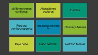 Malformaciones
cardiacas

Alteraciones
oculares

Osteitis

Purpura
trombocitopenica

Hepatoesplenomega
lia

Ictericia y Anemia

Bajo peso

Daño cerebral

Retraso Mental

 
