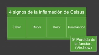 4 signos de la inflamación de Celsus
Calor

Rubor

Dolor

Tumefacción

5º Perdida de
la función.
(Virchow)

 