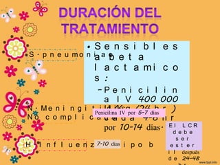 •Se n s i b l e s
 S. p n e u   m o n ia a e e t a
                         b
                     l a c t a mi c o
                     s :
                    –Pe n i c i l i n
                       a I V 400 000
N . M e n i n g i t i U /Ks g /24 h r )
                        d i
                   Penicilina IV por 5-7 días
N o c o m p l i c a c a d a 4-6 h r
                       d a
                       por 10-14 días. E dl e Lb C R
                                                 e
                                              s e r
H . I n f l u e n z 7-10 días i p o b
                    a e t                   e s t e r
                                           i l después
                                           d e 24-48
 