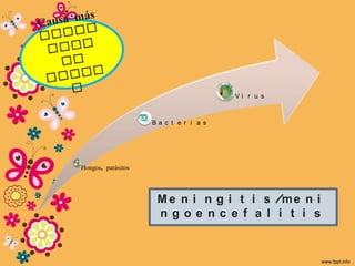 Vi r u s



                    Ba c t e r i a s




Hongos, parásitos




                     M e n i n g i t i s /m e n i
                     ngoe nc e f a l i t i s
 