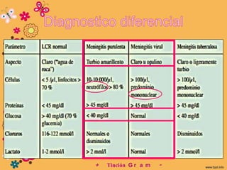 +   Tinción G r a m   -
 