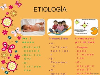 ETIOLOGÍA



1o s 2           2 meses-12 años   I n mu n o s u
me s e s                           p r i mi d o s
                 •H.
•Es t r e p t     I n f l u e n    • Patógenos
 o c o c o β      z a e t i p o      p o c o
•Ba c i l o s     b                  f r e c u e n
 G (-)           •S.                 t e s
•H.               P n e u mo n     •P   .
 i n f l u e n    i e               a   e r u g i n
 z a e           •N.                o   s a , S.
                  me n i n g i      a   u r e u s ,
 