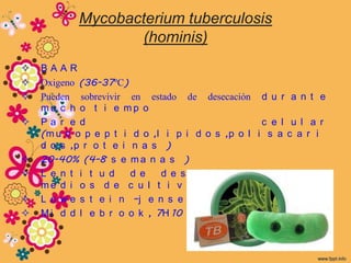 Mycobacterium tuberculosis
                  (hominis)
   BAAR
   Oxigeno (36-37ºC)
   Pueden sobrevivir en estado de desecación d u r a n t e
    mu c h o t i e mp o
   Pa r e d                                      c e l u l a r
    (m u c o p e p t i d o ,l i p i d o s ,p o l i s a c a r i
    d o s ,p r o t e i n a s )
   20-40% (4-8 s e m a n a s )
   L e n t i t u d    d e   d e s a r r o l l o    e n   l o s
    me d i o s d e c u l t i v o
   L o w e s t e i n –j e n s e n (1-4 s e m a n a )/8
   M i d d l e b r o o k , 7H 10 y 7H 11
 