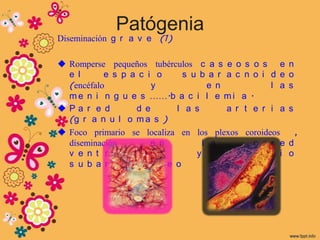 Patógenia
Diseminación g r a v e (1)

 Romperse pequeños tubérculos c a s e o s o s e       n
  e l      e s p a c i o    s u b a r a c n o i d e    o
  (encéfalo           y           e n            l a   s
  m e n i n g u e s …….b a c i l e m i a .
Pa r e d         d e      l a s      a r t e r i a    s
  (g r a n u l o m a s )
 Foco primario se localiza en los plexos coroideos        ,
  diseminación        e n        l a        p a r e    d
  v e n t r i c u l a r        y        e s p a c i    o
  s u b a r a c n o i d e o
 