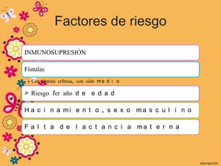 Factores de riesgo

INMUNOSUPRESIÓN

Fístulas
 • Con lámina cribosa, con oído m e d i o

> Riesgo 1er año d e e d a d

H a c i n a mi e n t o , s e x o ma s c u l i n o

F a l t a d e l a c t a n c i a ma t e r n a
 