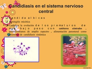 Candidiasis en el sistema nervioso
               central
 Ca n d i d a a l b i c a s
 Meningitis micótica
 Complica la evolución d e l o s p r e m a t u r o s          d e
  mu y      b a j o      p e s o     c o n  catéteres céntrales ,
  antimicrobianos de amplio espectro , alimentación parenteral como
  extensión de candidiasis sistémica
 