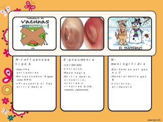 H. I n f l u e n z a e                S . p n e u mo n i e         N.
t i p o b                             •1-3 / 100 000               me n i n g i t i d i s
•Niños 1-4 a                          •I n v i e r n o             •E p i d e m i a s   p o r   g p o
 p o r t a d o r e s                  •R a z a n e g r a            A y C
•N o v a c u n a d o s      agente   •O t i t i   s me d i a ,    •G e n e r a l m e n t e g p o
 común 6-9 m                           s i n u s   i t i s ,        B
•> F r e c u e n t e s i     h a y     o t o r r   e a o           •I n v i e r n o ,
 o t i t i s me d i a                  r i n o r   r e a de LCR,    p r i ma v e r a
                                       neumonía,   esplenectomía
 
