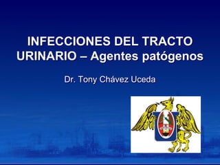 INFECCIONES DEL TRACTO
URINARIO – Agentes patógenos
Dr. Tony Chávez Uceda
 