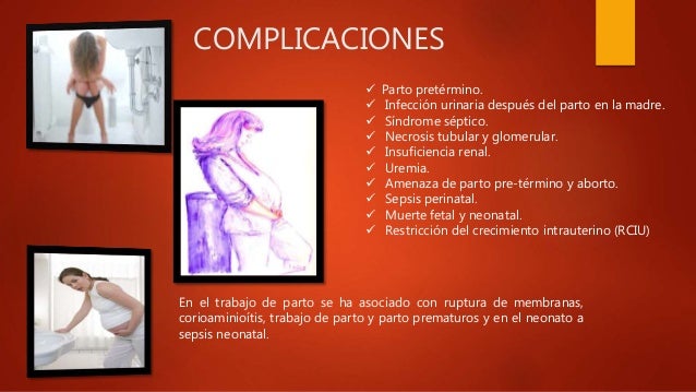 Infecciones Del Tracto Urinario En Embarazadas