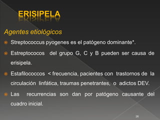Agentes etiológicos
   Streptococcus pyogenes es el patógeno dominante*.

   Estreptococos del grupo G, C y B pueden ser causa de
    erisipela.

   Estaﬁlococcos < frecuencia, pacientes con trastornos de la
    circulación linfática, traumas penetrantes, o adictos DEV.

   Las    recurrencias son dan por patógeno causante del
    cuadro inicial.

                                                        26
 