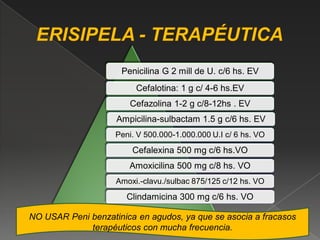 Penicilina G 2 mill de U. c/6 hs. EV
                         Cefalotina: 1 g c/ 4-6 hs.EV
                       Cefazolina 1-2 g c/8-12hs . EV
                    Ampicilina-sulbactam 1.5 g c/6 hs. EV
                    Peni. V 500.000-1.000.000 U.I c/ 6 hs. VO
                        Cefalexina 500 mg c/6 hs.VO
                       Amoxicilina 500 mg c/8 hs. VO
                    Amoxi.-clavu./sulbac 875/125 c/12 hs. VO
                       Clindamicina 300 mg c/6 hs. VO

NO USAR Peni benzatinica en agudos, ya que se asocia a fracasos
             terapéuticos con mucha frecuencia.           30
 