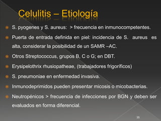   S. pyogenes y S. aureus: > frecuencia en inmunocompetentes.

   Puerta de entrada deﬁnida en piel: incidencia de S. aureus es
    alta, considerar la posibilidad de un SAMR –AC.

   Otros Streptococcus, grupos B, C o G; en DBT.

   Erysipelothrix rhusiopatheae, (trabajadores frigoríficos)

   S. pneumoniae en enfermedad invasiva.

   Inmunodeprimidos pueden presentar micosis o micobacterias.

   Neutropénicos > frecuencia de infecciones por BGN y deben ser
    evaluados en forma diferencial.

                                                                35
 