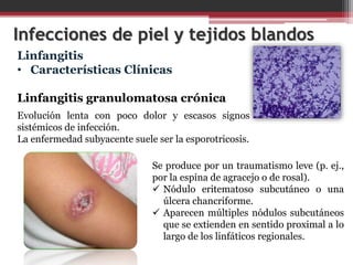 Linfangitis Reticular Infecciones de piel, tejidos blandos | PPTX