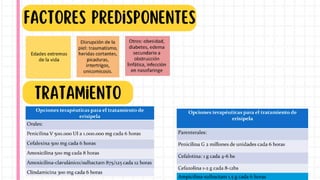 Factores predisponentes
Tratamiento
 