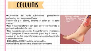 ➔Afectación del tejido subcutáneo, generalmente
profundo y con márgenes difusos
caracteriza por edema, eritema y dolor de la zona
afecta.
➔Los márgenes laterales son poco diferenciados dada la
profundidad de la infección.
➔Los microorganismos más frecuentemente implicados
son S. pyogenes (Estreptococo del grupo A) y S. aureus,
aunque en ciertas circunstancias neumococo, Salmonella
o enterobacterias.
➔COMPLICACIONES: artritis, osteomielitis,
tromboflebitis, bacteriemia o fascitis necrotizante.
CElulItIs
 