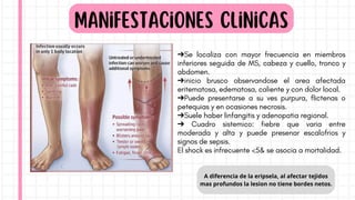 A diferencia de la eripsela, al afectar tejidos
mas profundos la lesion no tiene bordes netos.
Manifestaciones clinicas
➔Se localiza con mayor frecuencia en miembros
inferiores seguida de MS, cabeza y cuello, tronco y
abdomen.
➔inicio brusco observandose el area afectada
eritematosa, edematosa, caliente y con dolor local.
➔Puede presentarse a su ves purpura, flictenas o
petequias y en ocasiones necrosis.
➔Suele haber linfangitis y adenopatia regional.
➔ Cuadro sistemico: fiebre que varia entre
moderada y alta y puede presenar escalofrios y
signos de sepsis.
El shock es infrecuente <5& se asocia a mortalidad.
 
