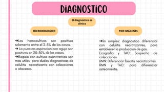 El diagnostico es
clinico
MICROBIOLOGICO POR IMAGENES
➔Los hemocultivos son positivos
solamente entre el 2-5% de los casos.
➔ La puncion-aspiracion con aguja son
positivas en 20-30% de los casos.
➔Biopsia con cultivos cuantitativos son
mas utiles para dudas diagnosticas de
celulitis necrotizante con colecciones
o abscesos.
Diagnostico
➔Rx simples: diagnostico diferencial
con celulitis necrotizantes, para
establecer la produccion de gas.
Ecografia y TAC: Sospecha de
colecciones
RMN: Diferenciar fascitis necrotizantes.
RMN y TAC: para diferenciar
osteomielitis.
 