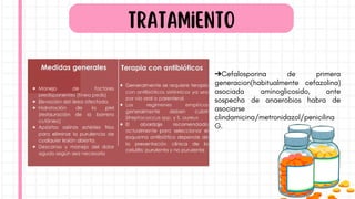Tratamiento
➔Cefalosporina de primera
generacion(habitualmente cefazolina)
asociada aminoglicosido, ante
sospecha de anaerobios habra de
asociarse
clindamicina/metronidazol/penicilina
G.
 