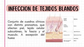 INFECCION DE TEJIDOS BLANDOS
Conjunto de cuadros clínicos
con distinto pronostico, que
afectan piel, tejido celular
subcutáneo, la fascia y el
musculo. A excepción del
hueso
 